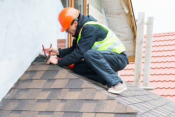 Best Roof Gutter Cleaning  in Sylvania, AL